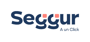 Seggur